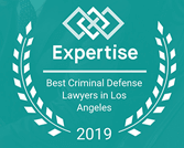 Expertise 2019 award